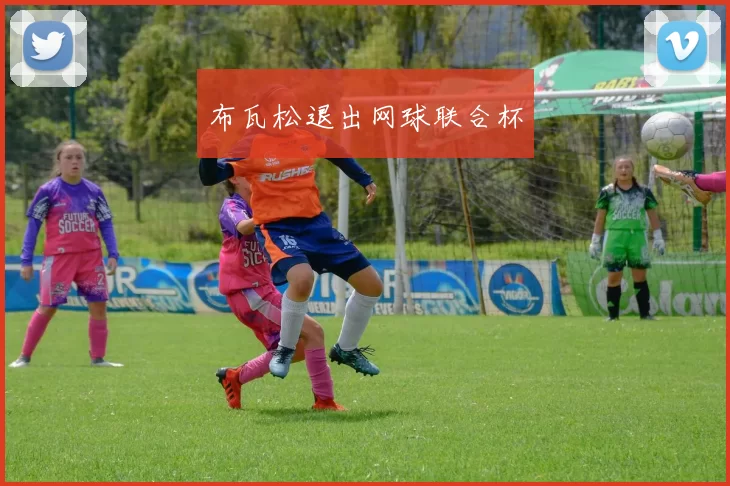 布瓦松退出网球联合杯