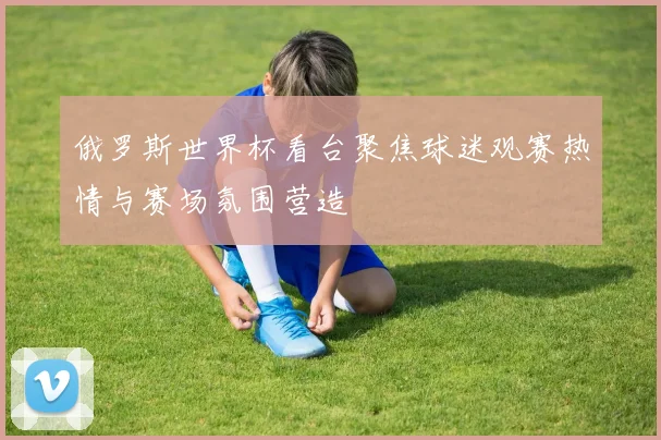 俄罗斯世界杯看台聚焦球迷观赛热情与赛场氛围营造
