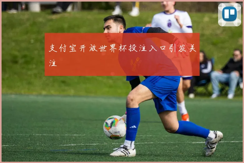 支付宝开放世界杯投注入口引发关注