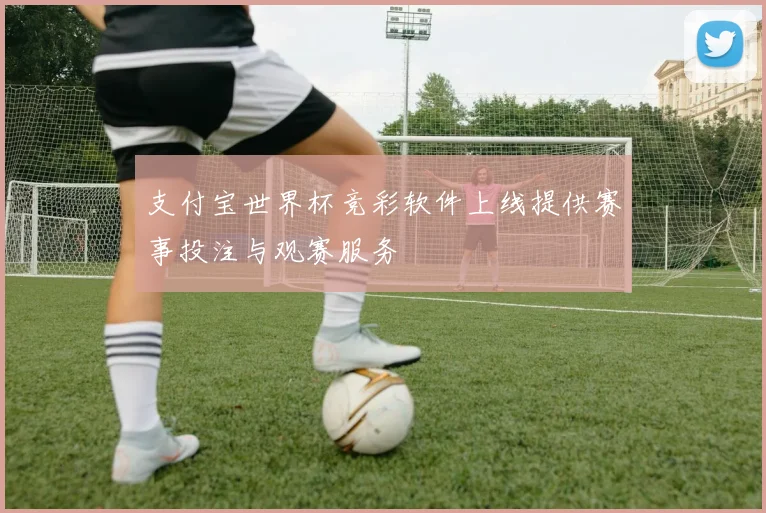 支付宝世界杯竞彩软件上线提供赛事投注与观赛服务