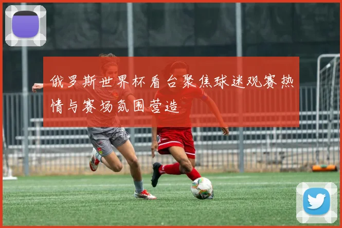 俄罗斯世界杯看台聚焦球迷观赛热情与赛场氛围营造