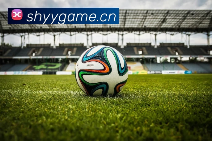 Kaiyun (中国官方网站) - 官方认证的服务平台平台生态图